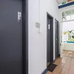 Le Penguin Hostel