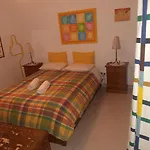 Eucalipto