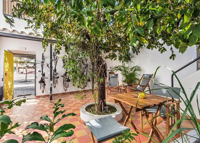 Lemon Tree Stay
