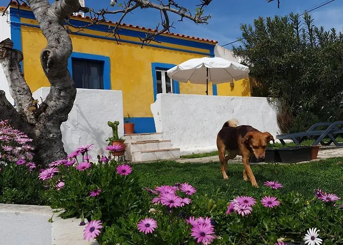 Monte Da Ti Luzia