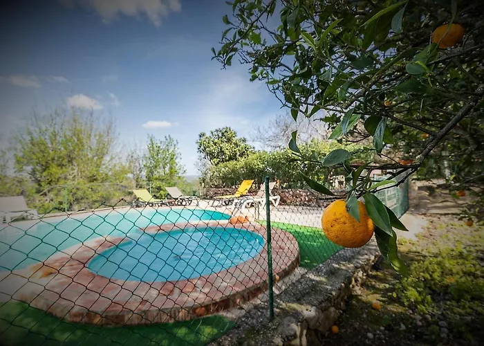 Casa Adega - Quinta Amoreira