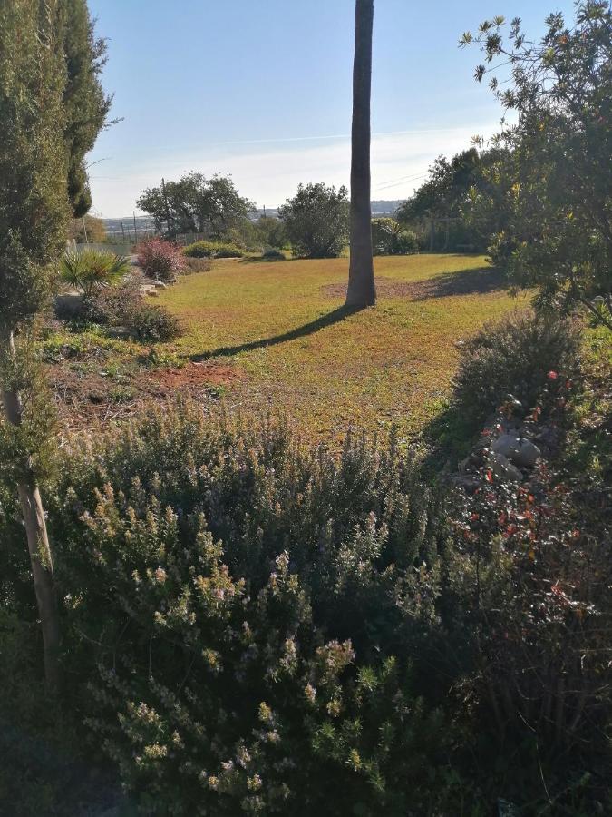 Holiday home Duas Medronhal Em 520 - 2 Faro