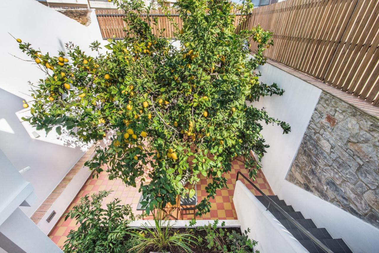 Bed & Breakfast Lemon Tree Faro