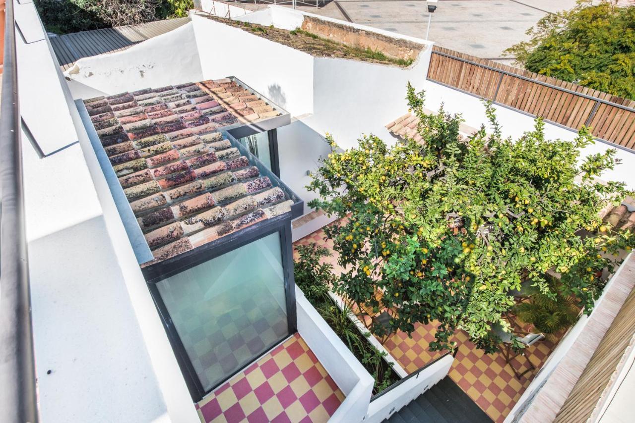 Lemon Tree