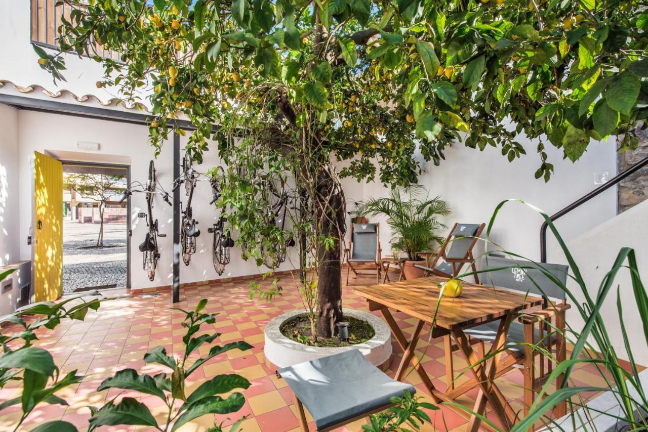 Lemon Tree Faro