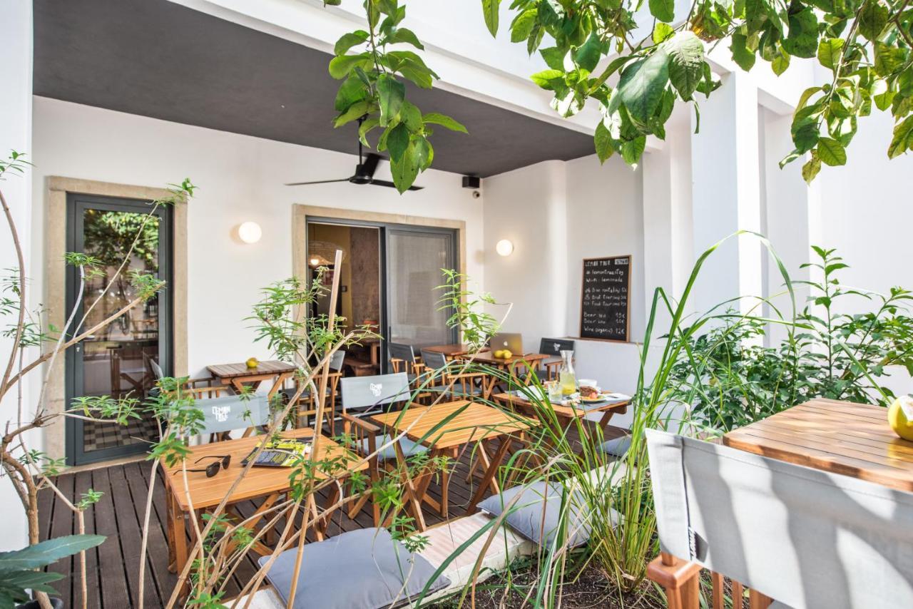 Lemon Tree Faro