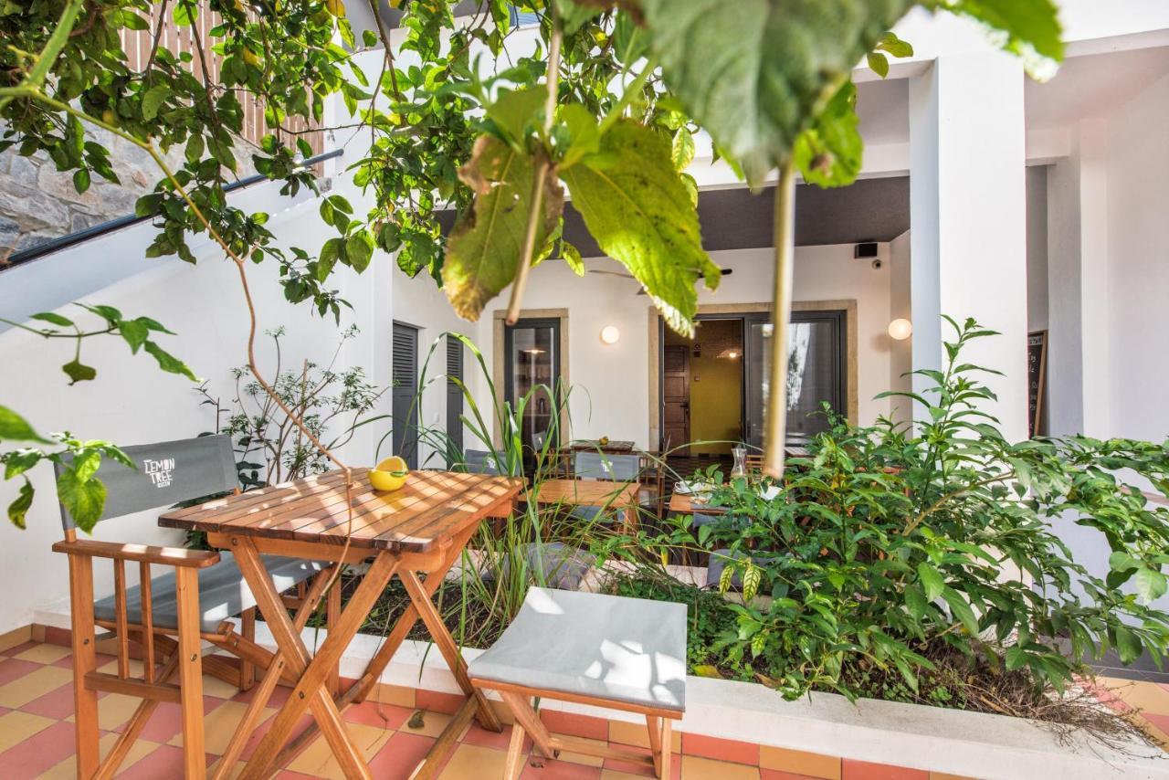 Lemon Tree