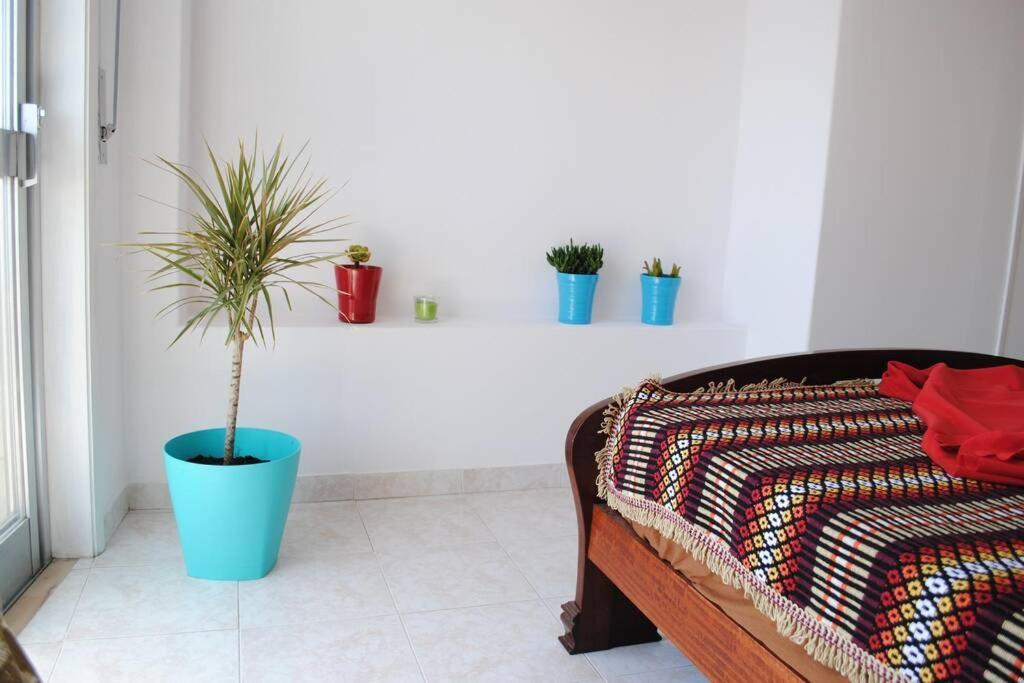 Apartment Marine Freestyler Glorious Terrace Faro