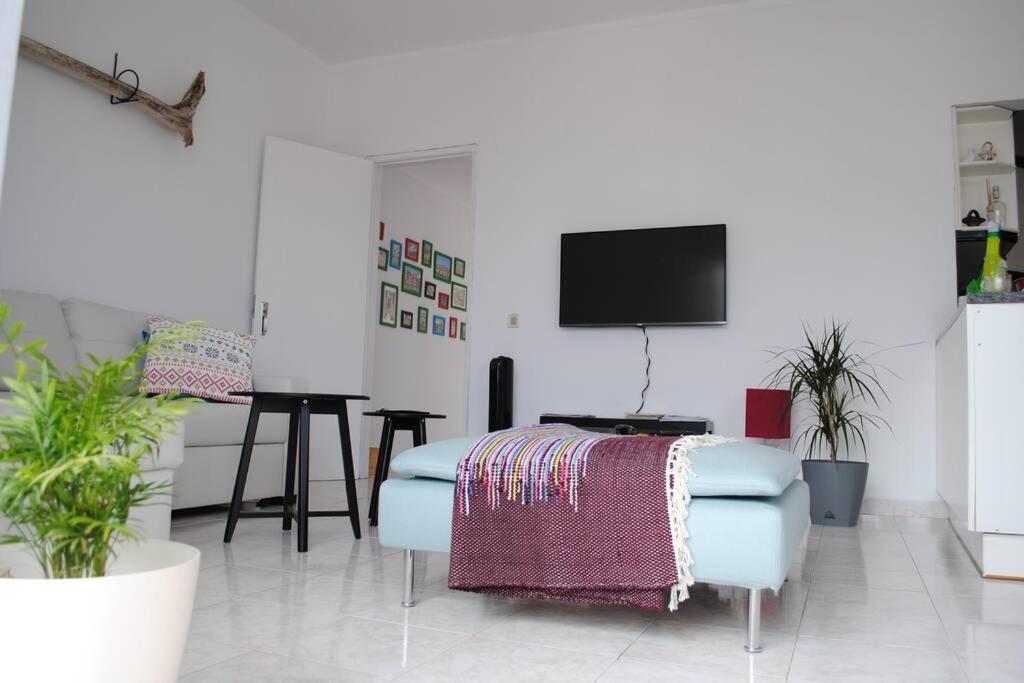 Marine Freestyler Glorious Terrace Apartment Faro