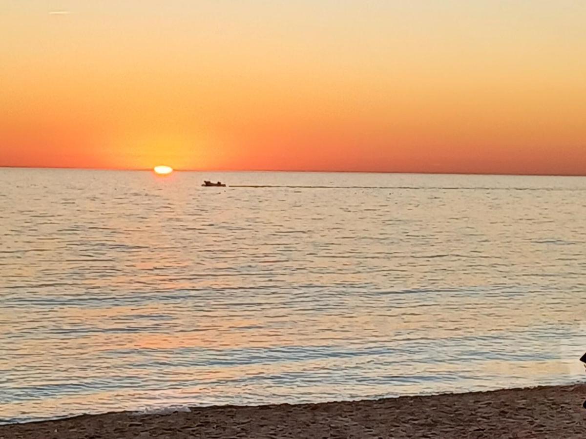 #farocarmolodge Private Downtown & Free Parking Holiday home Faro