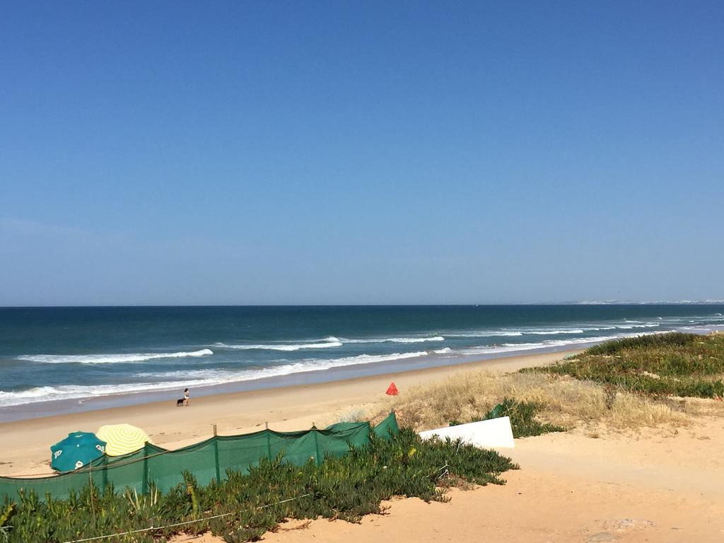 Holiday home Casa Da Viola - Faro