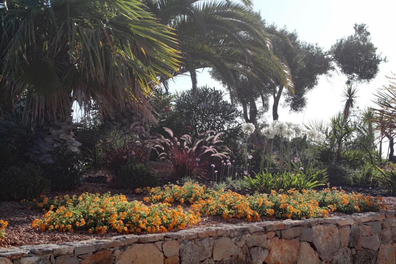 Bed & Breakfast Quinta Essencia