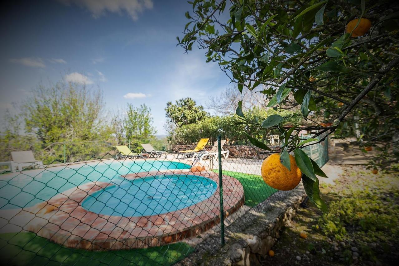 Casa Adega - Quinta Amoreira Guest house *