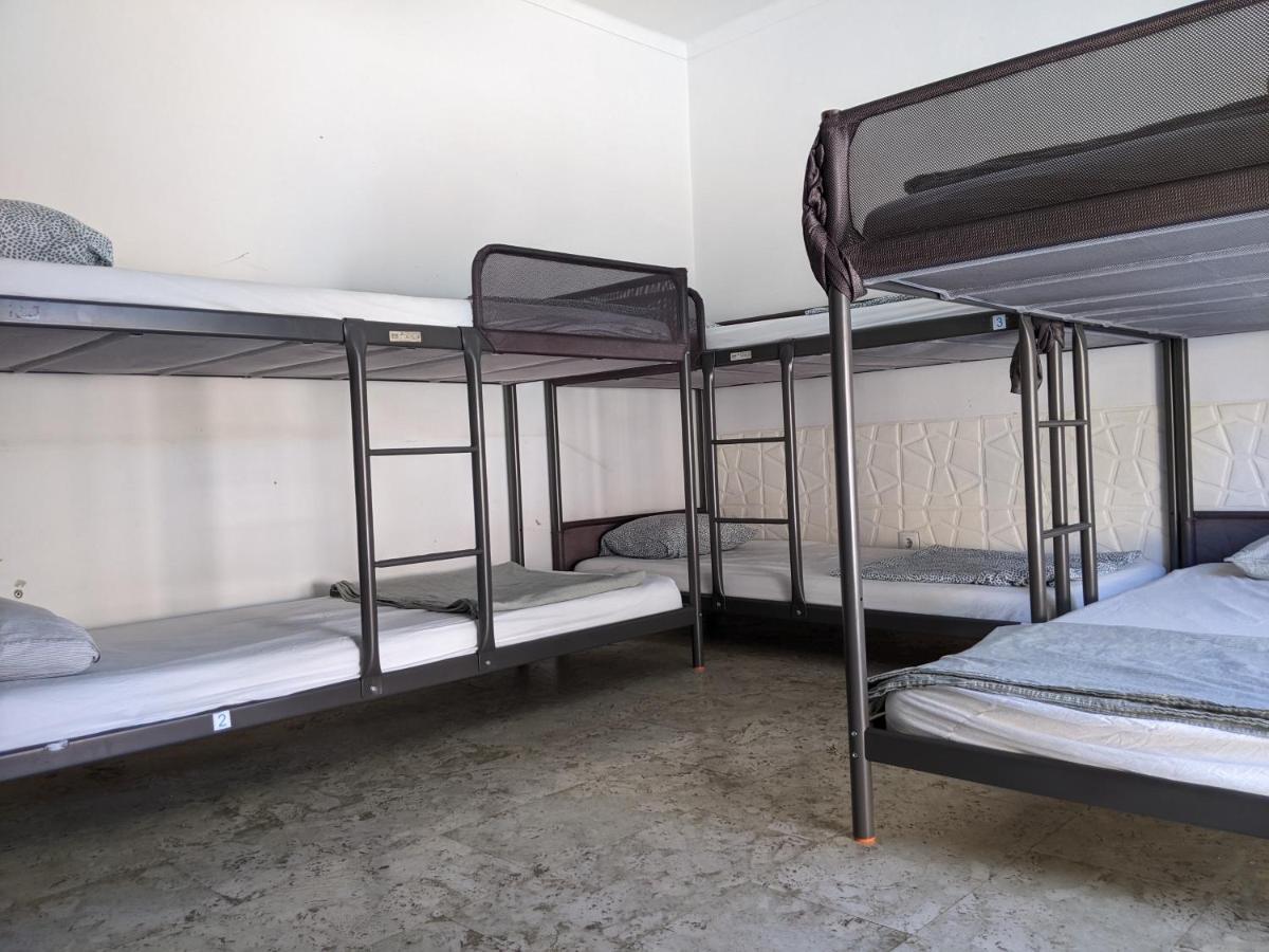 Dolphin House Hostel *