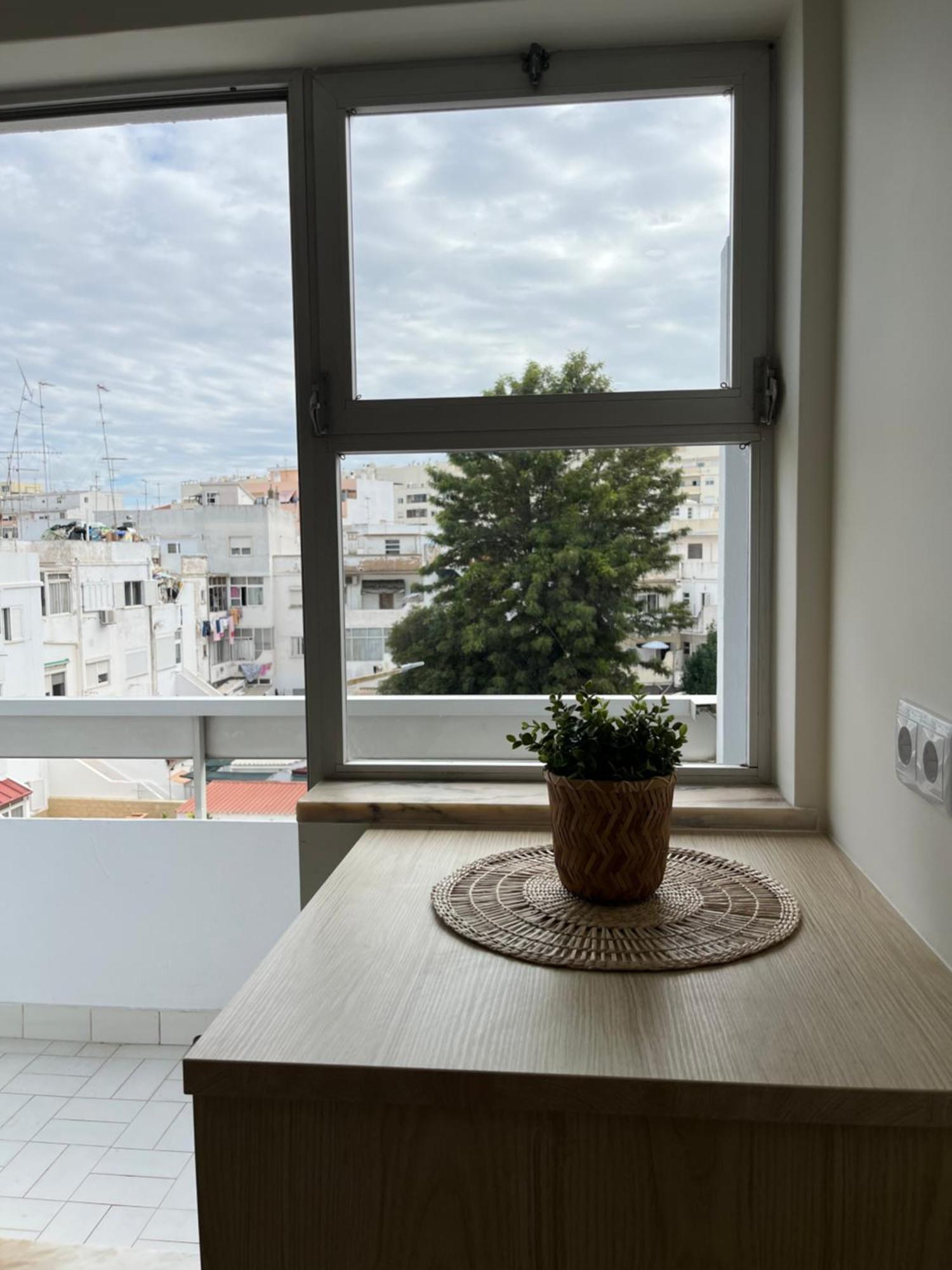 Apartment Montinho -