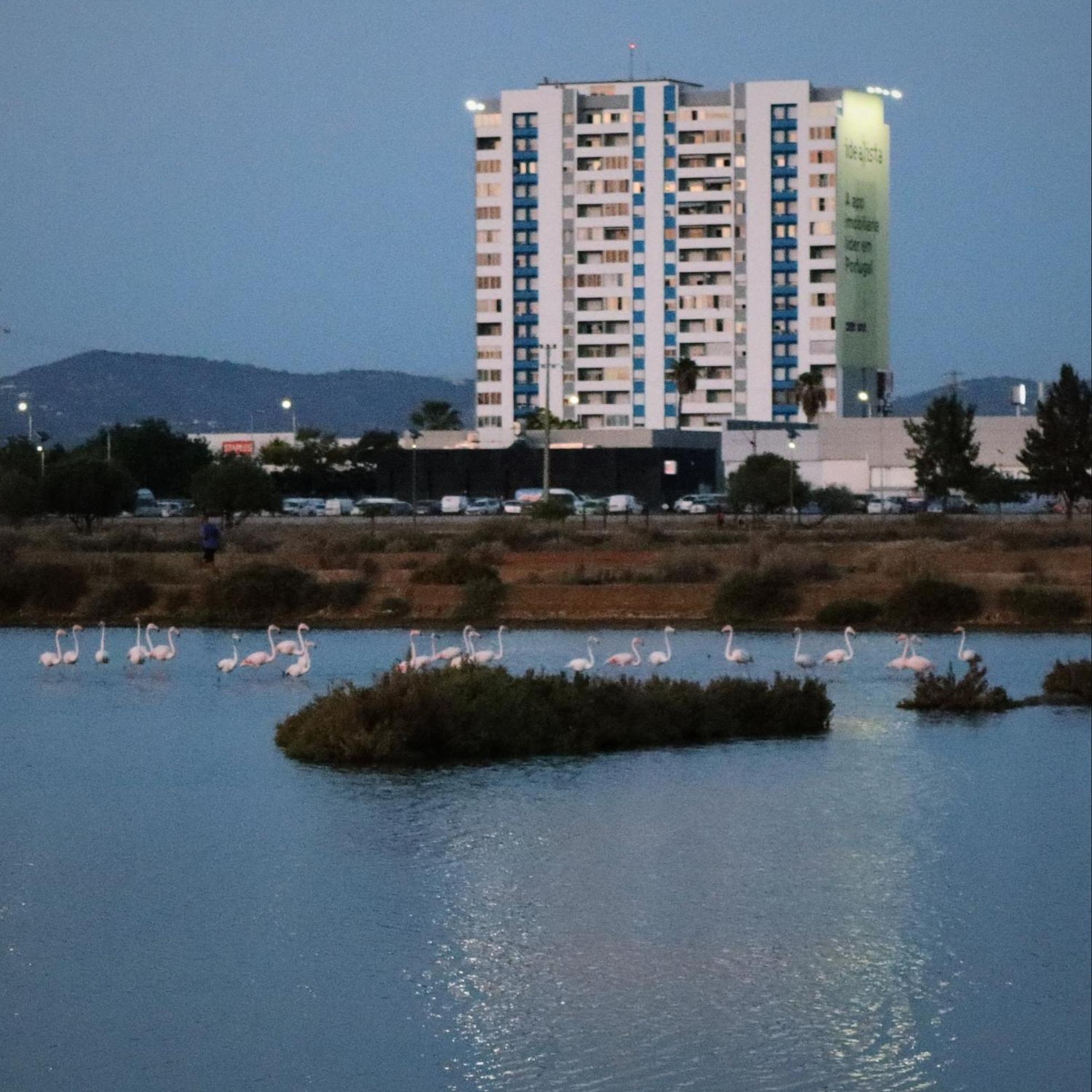Sea View Apartment *