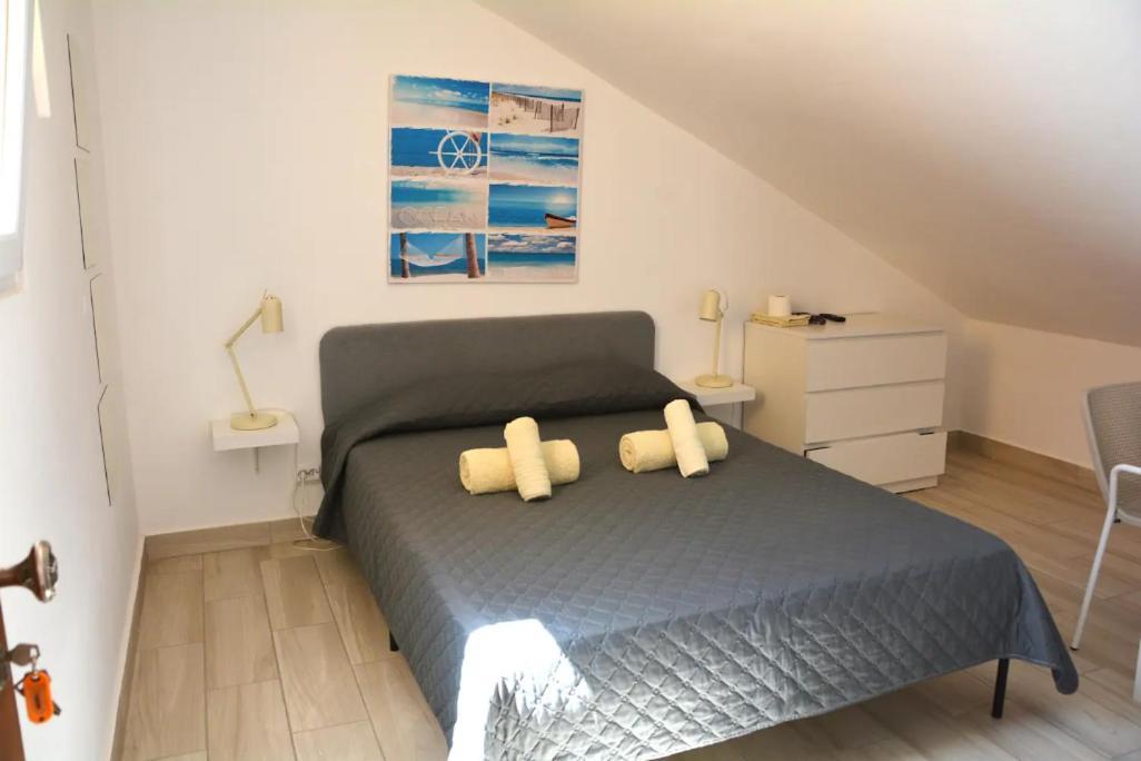 Albergue Blife & FAO