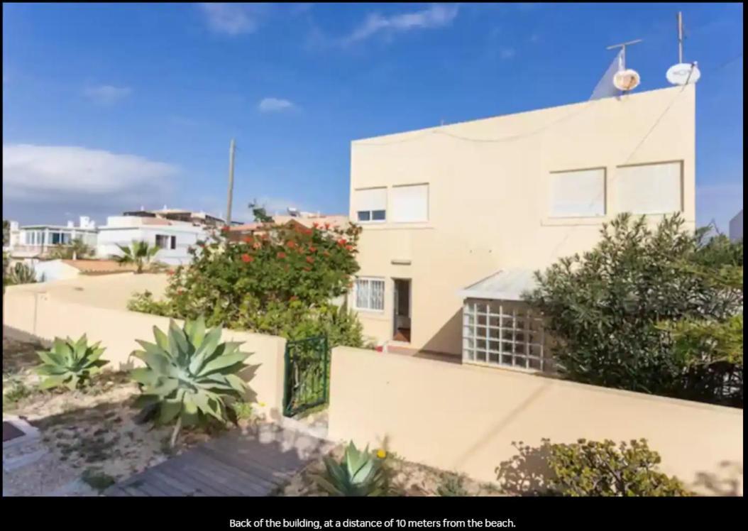 Albergue Blife & FAO