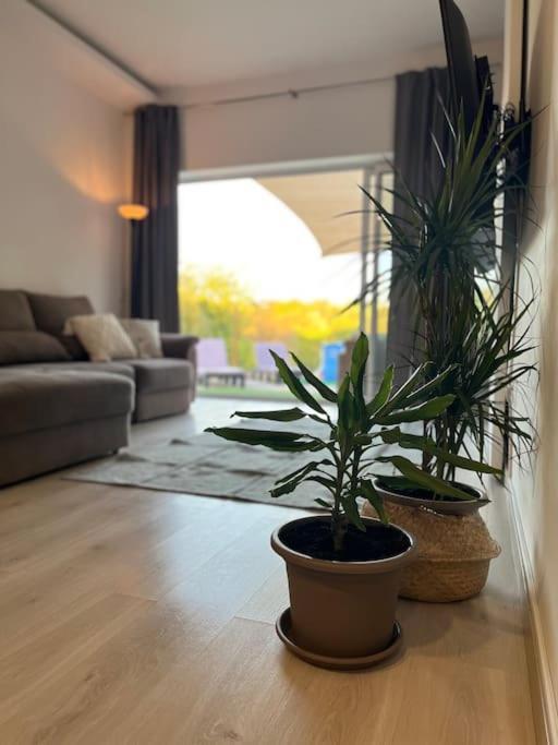 Holiday home Quinta Da Alfarrobeira Peaceful Countryside *