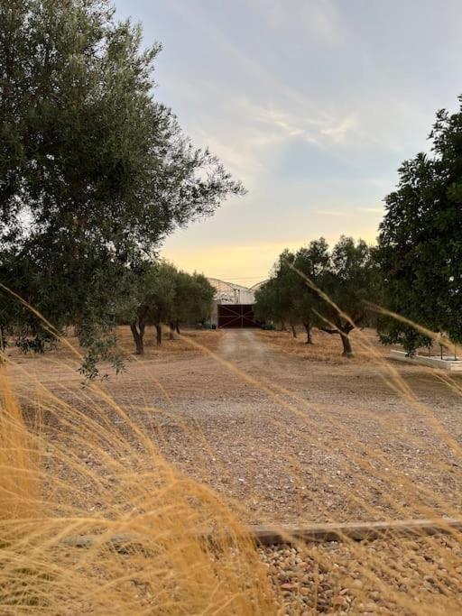 Holiday home Quinta Da Alfarrobeira Peaceful Countryside Faro