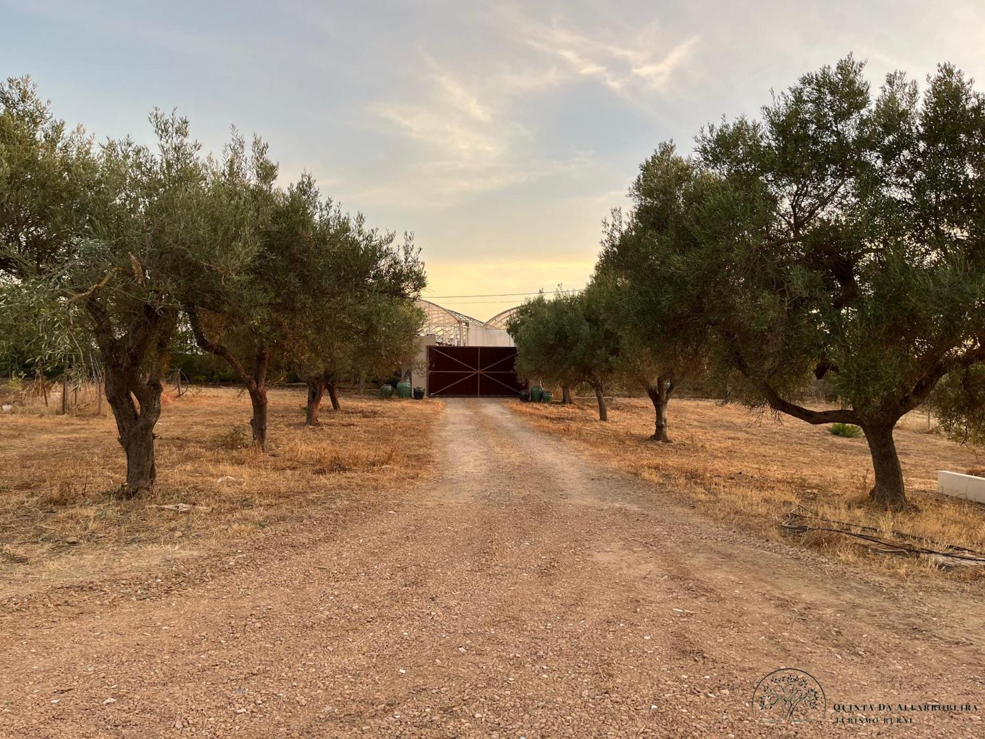Quinta Da Alfarrobeira Peaceful Countryside Holiday home