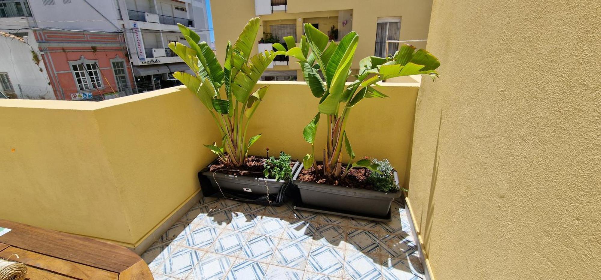 Casa Da Acoteia Apartment Faro
