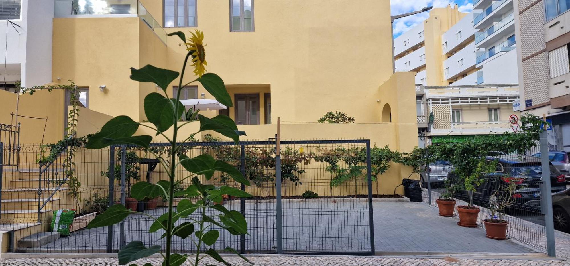 Casa Da Acoteia Apartment *