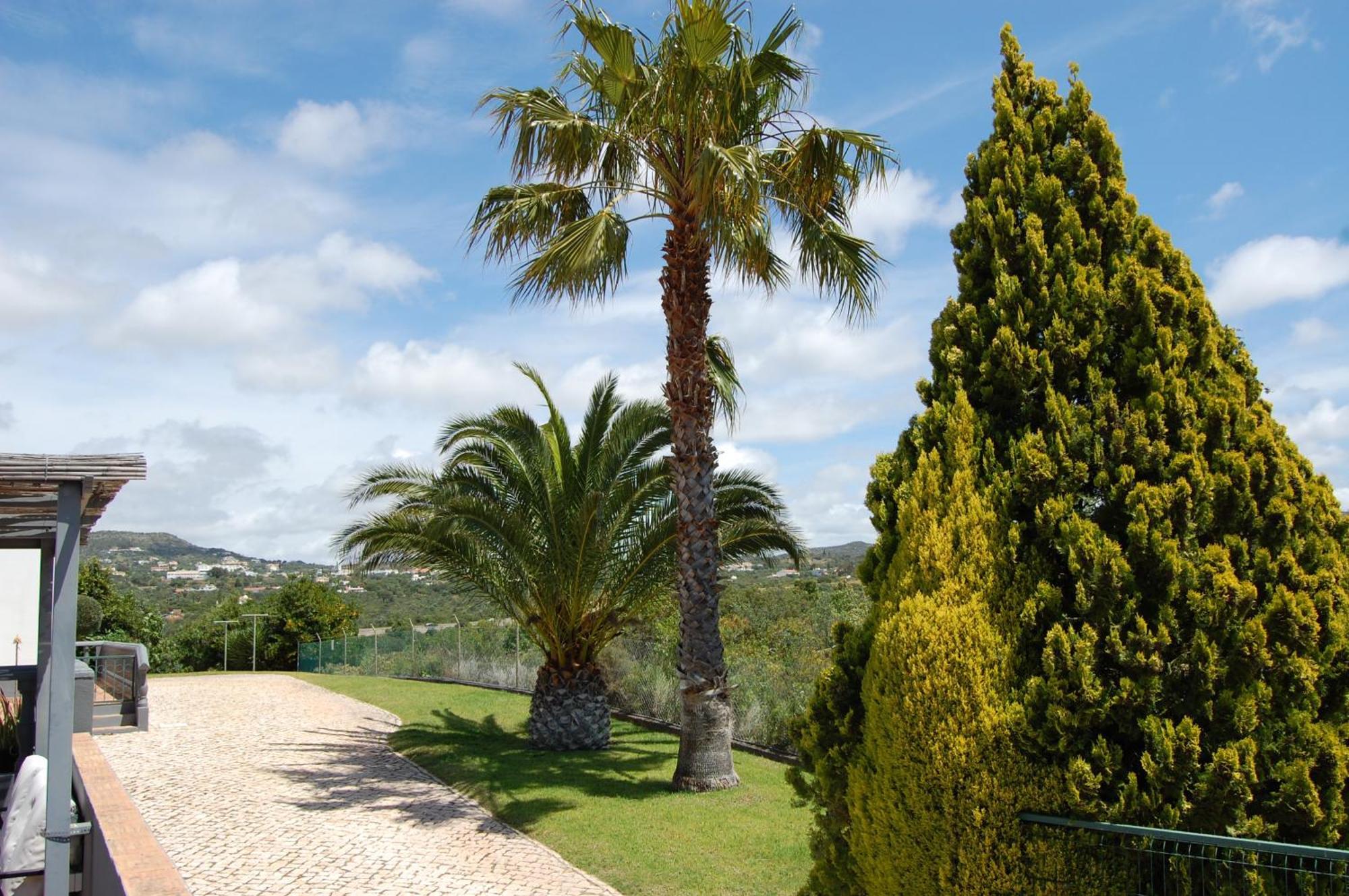 Monte Alegrete With 3 Bedrooms And Sea View