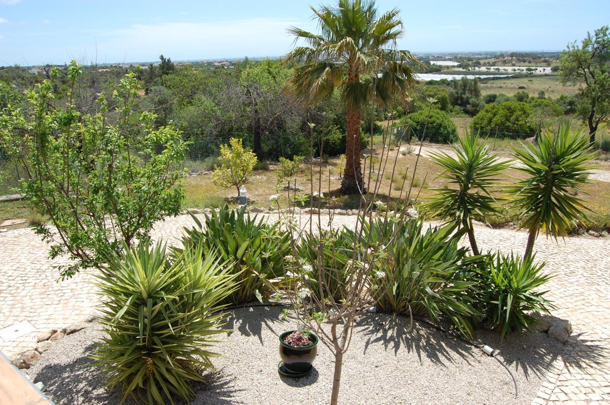 Monte Alegrete With 3 Bedrooms And Sea View Villa