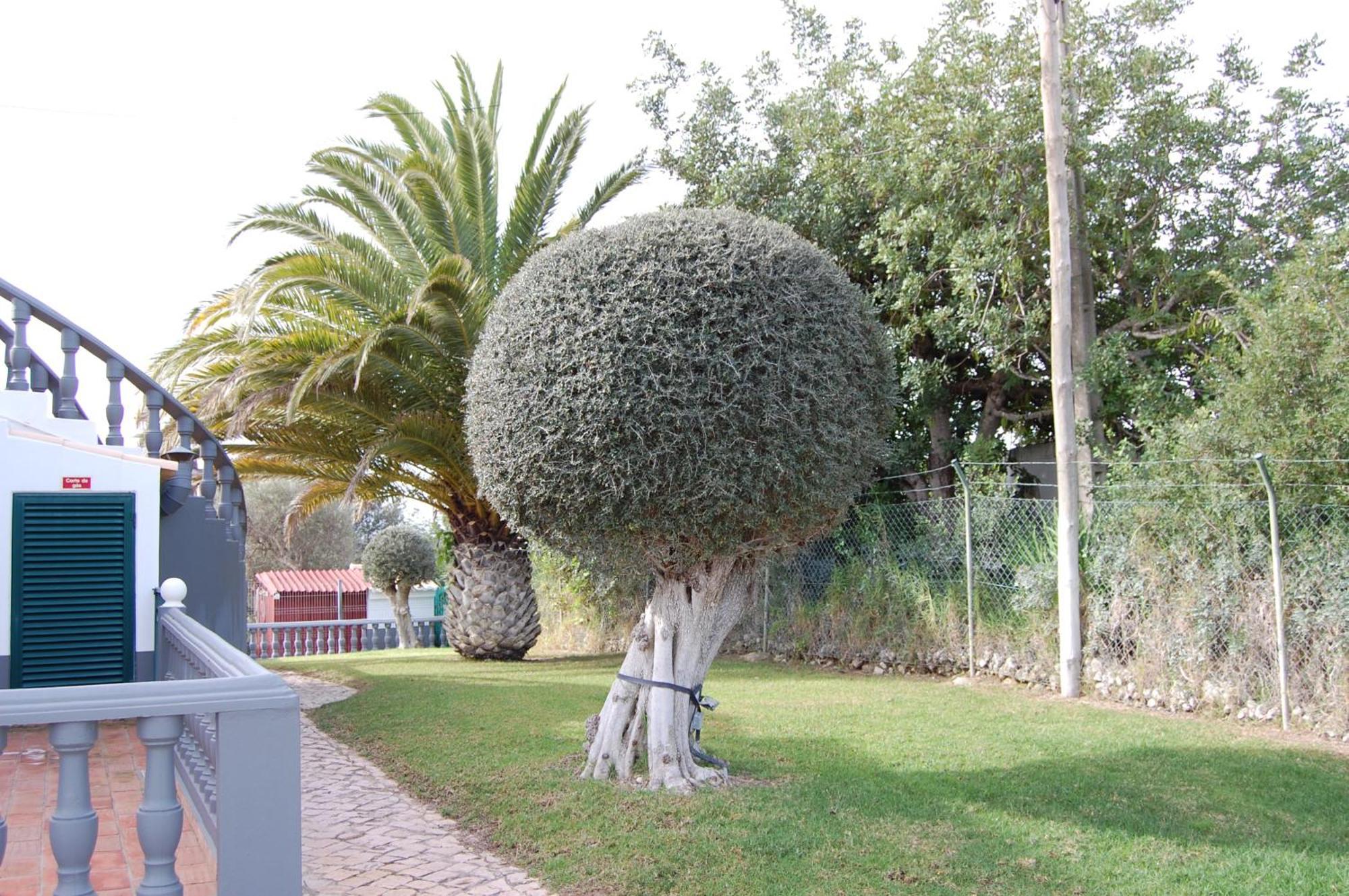 Monte Alegrete With 3 Bedrooms And Sea View *