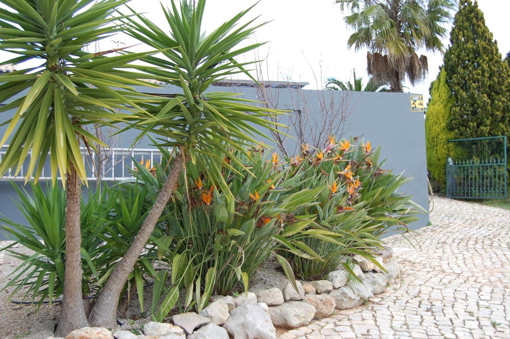 Villa Monte Alegrete With 3 Bedrooms And Sea View