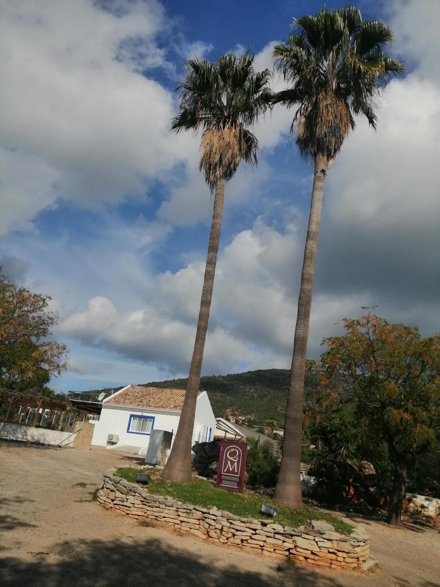 Holiday home Duas Medronhal Em 520 - 2 *