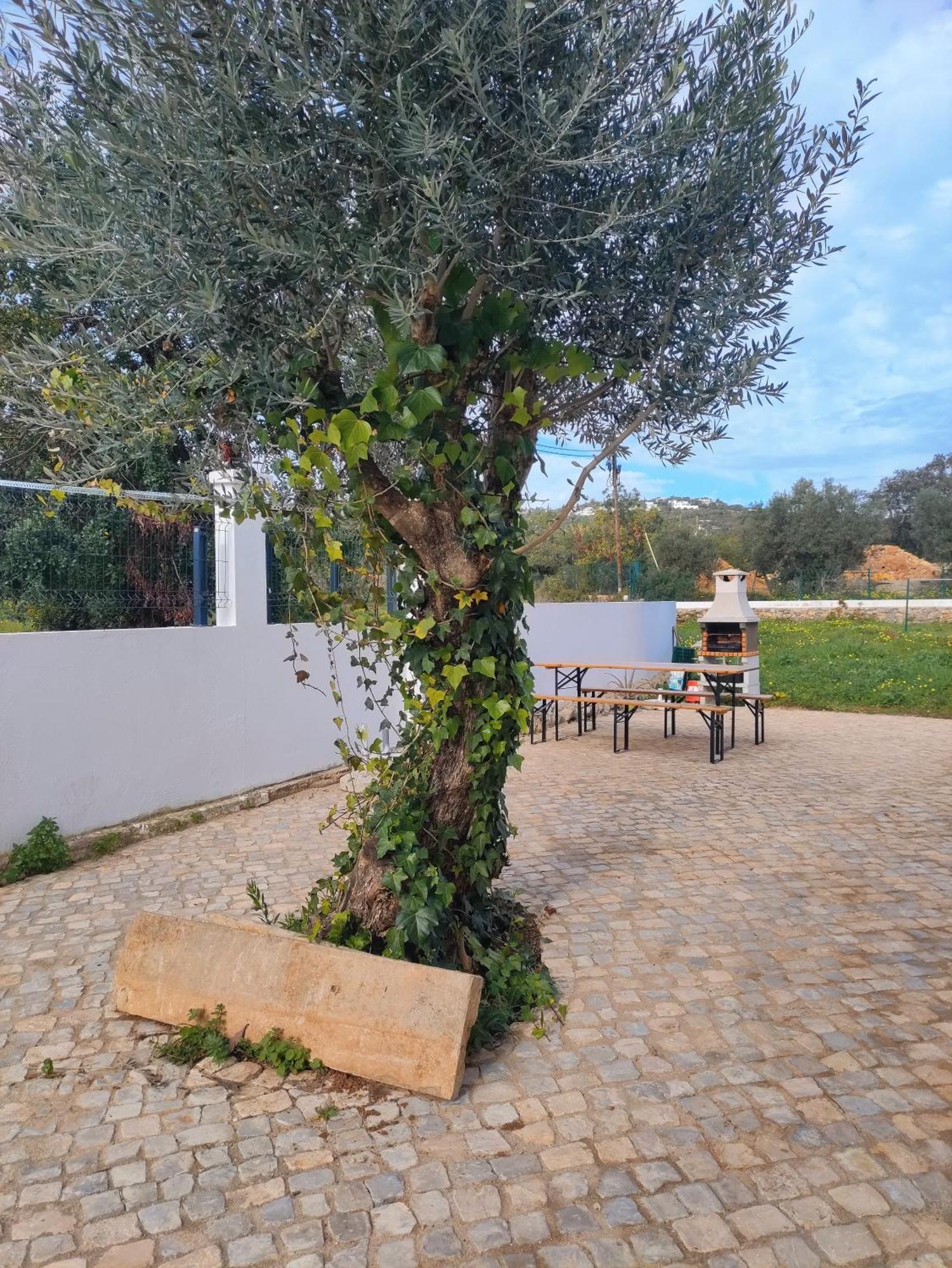 Holiday home Casa Do Bele Faro