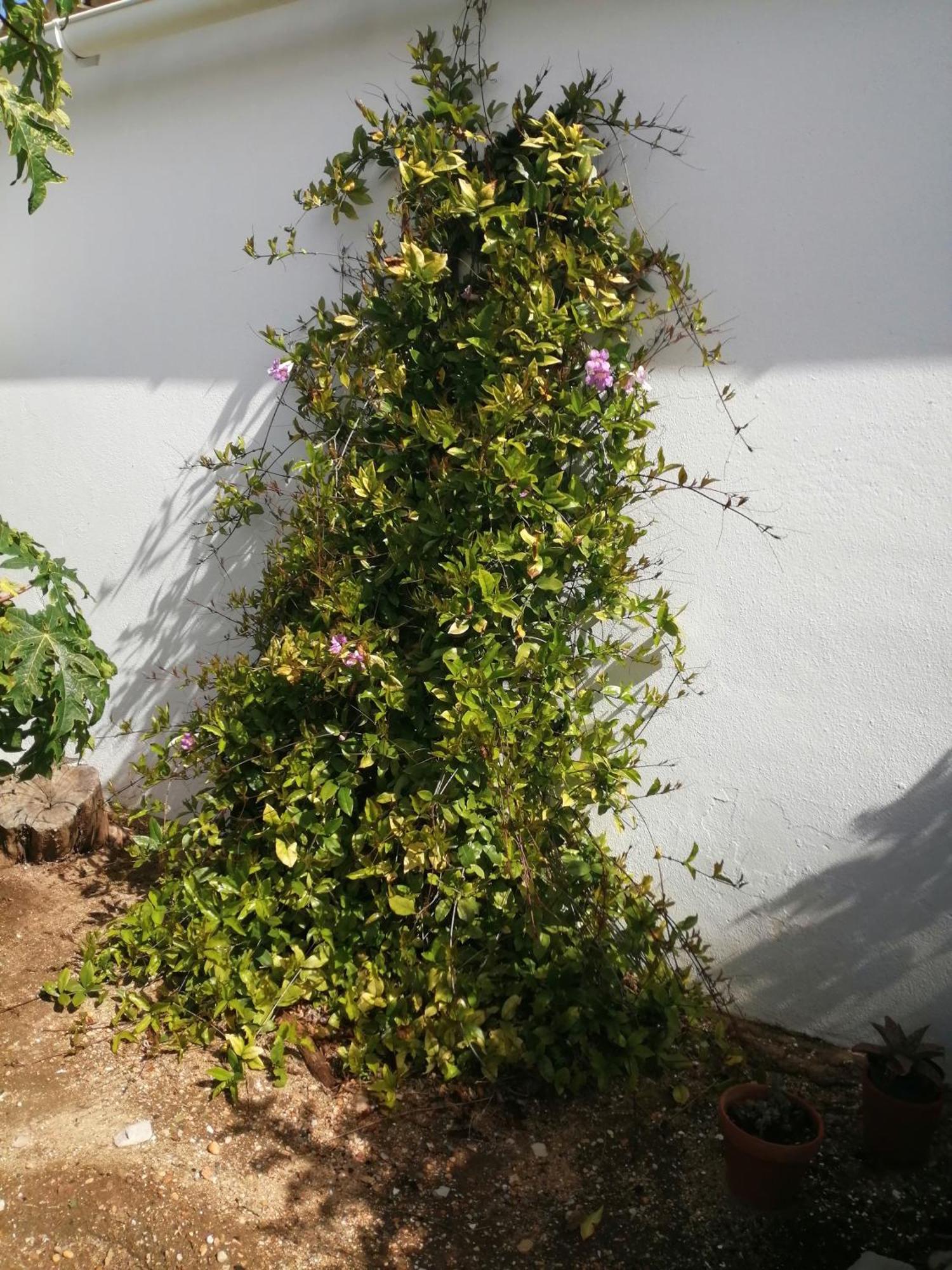 Duas Medronhal Em 520 - 2 Holiday home