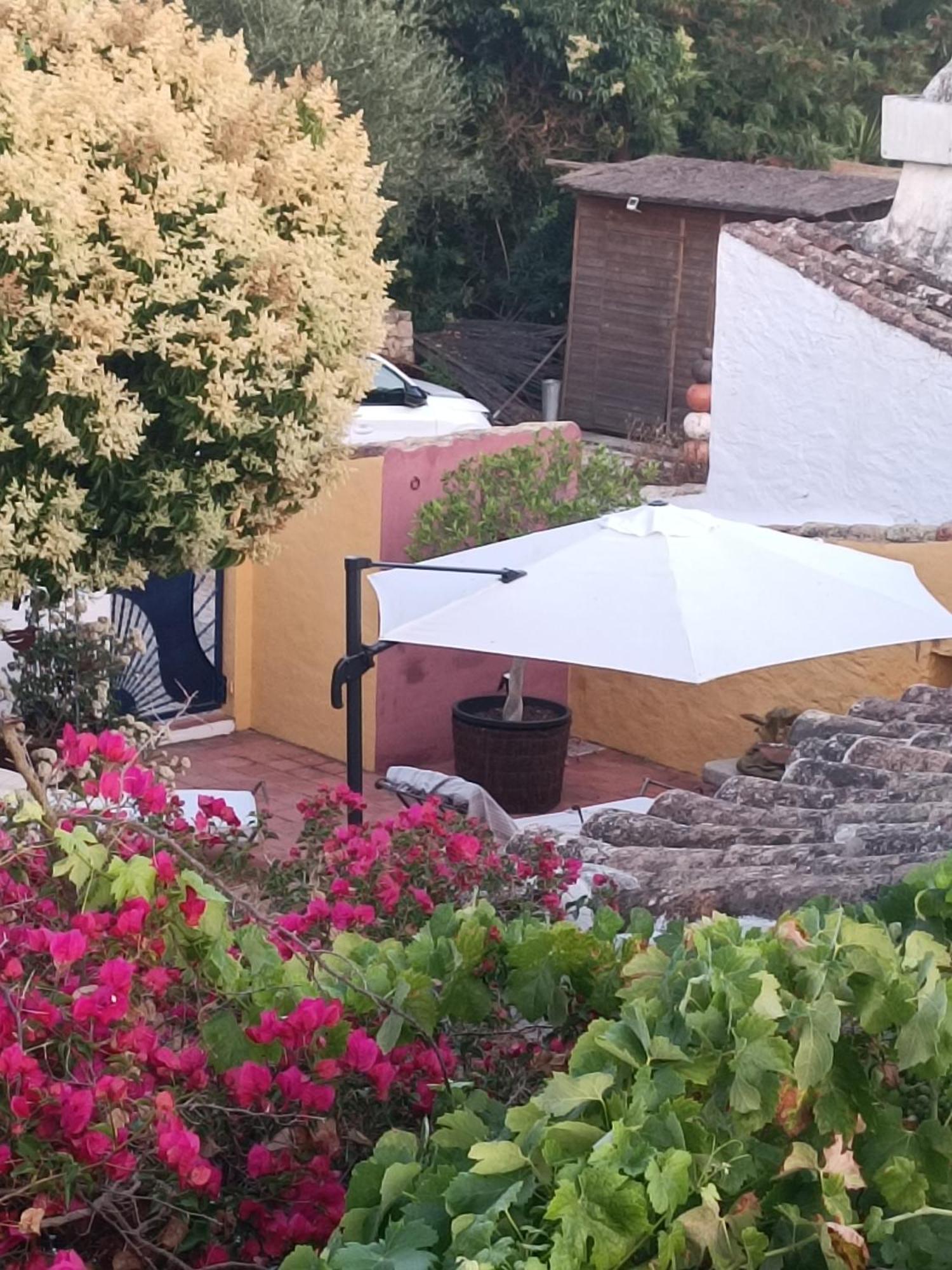 Casa Liberdade Holiday home *