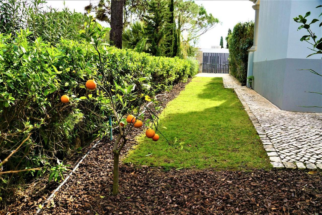 Charming Exceptional Golf In Algarve Villa *