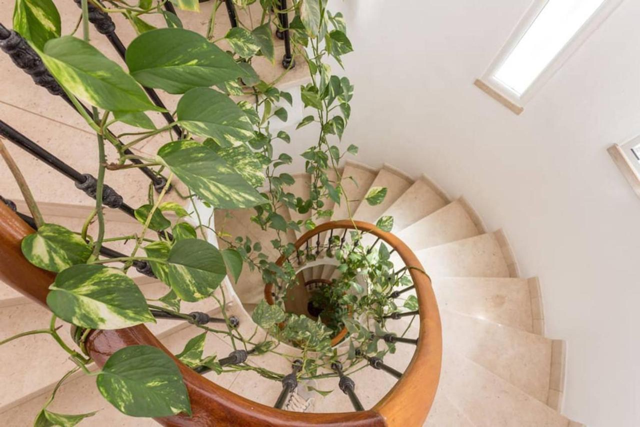 Lovely Family House *