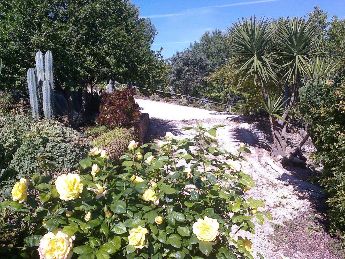 Casa Adega - Quinta Amoreira Guest house