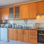 Faro Stylish By Homing