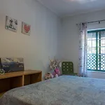Appartment Near Alameda\'S Garden