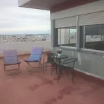 Belvedere Suite