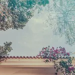 Pine House - Faro Airport, Beach And City Center