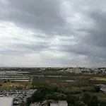 Oasis