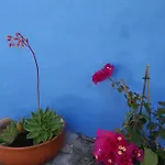 Casinha Do Sul