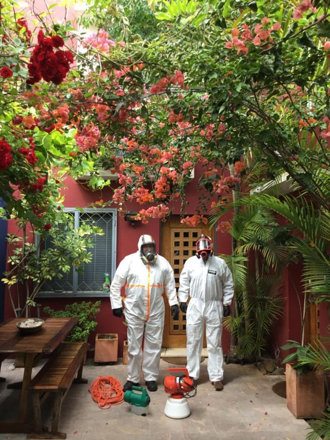 Figuras House Luxury Faro