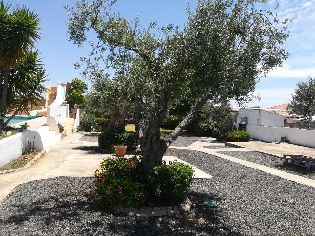 Farm stay Monte Do Afonso *