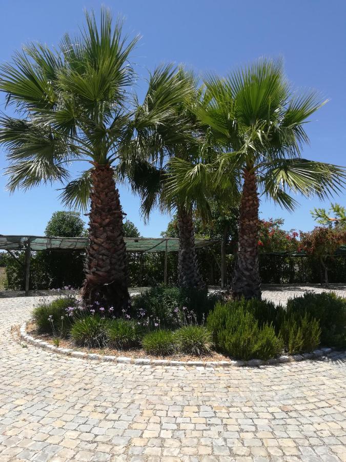 Monte Do Afonso Farm stay *