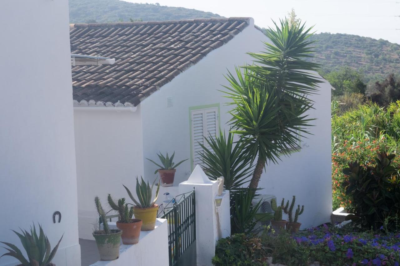 Guest house Casa Da Cabeca Azinheiro