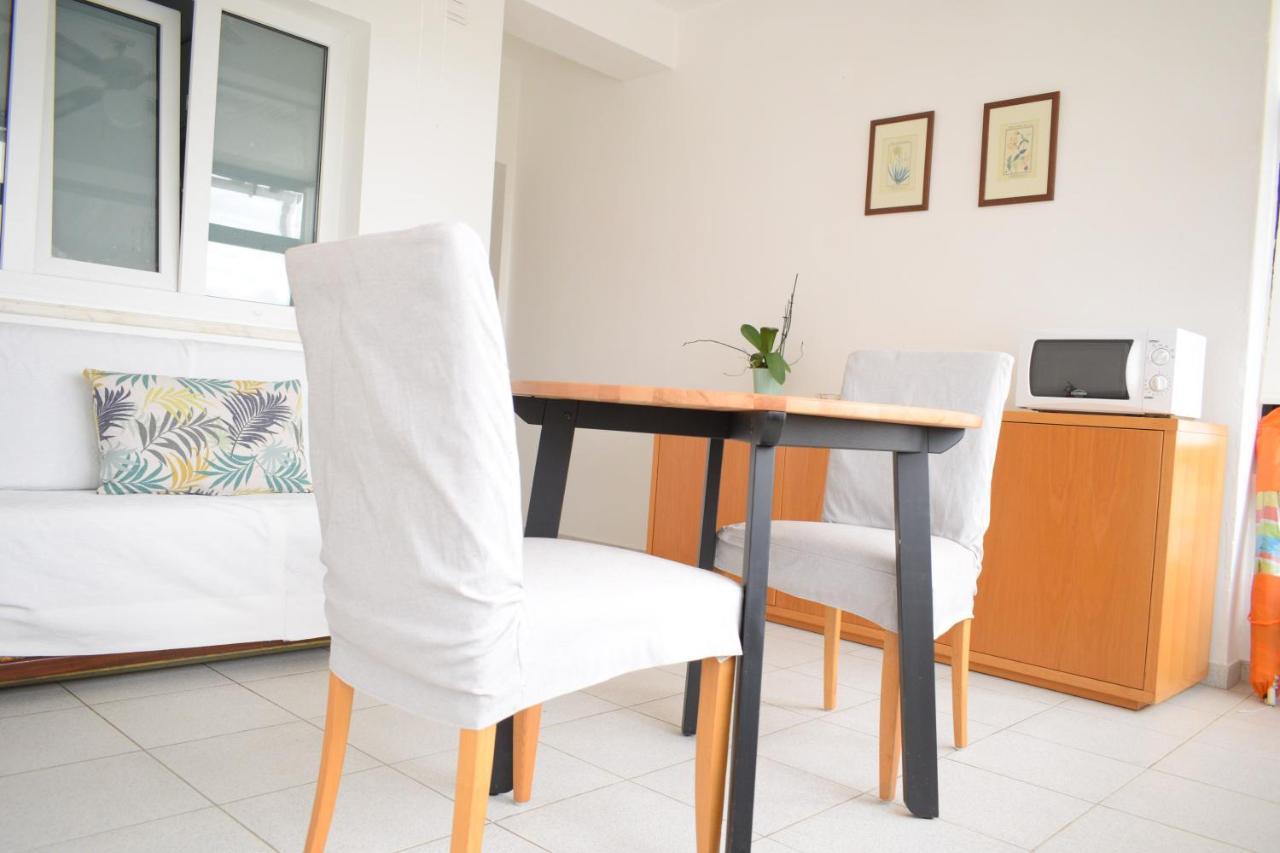 Estudio-gambelas Faro