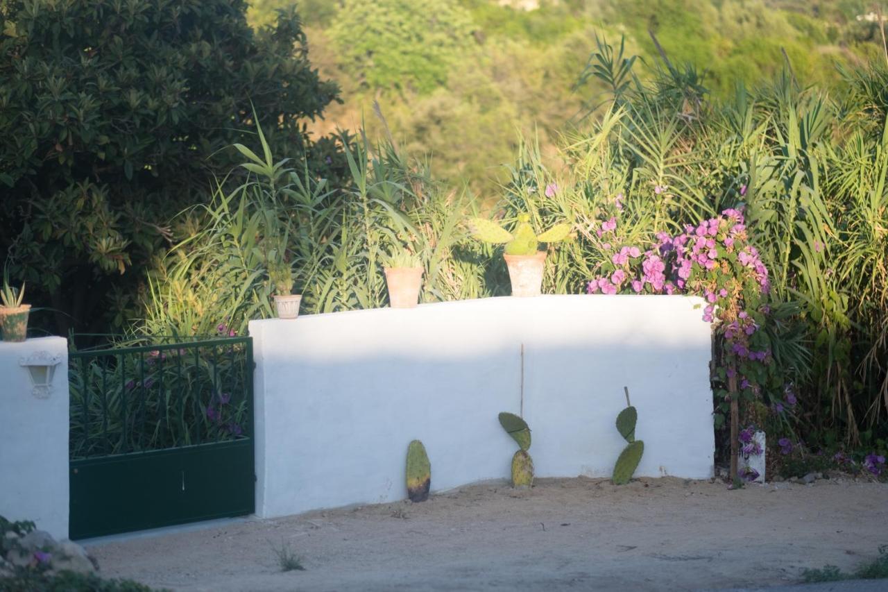 Casa Da Cabeca Guest house Azinheiro